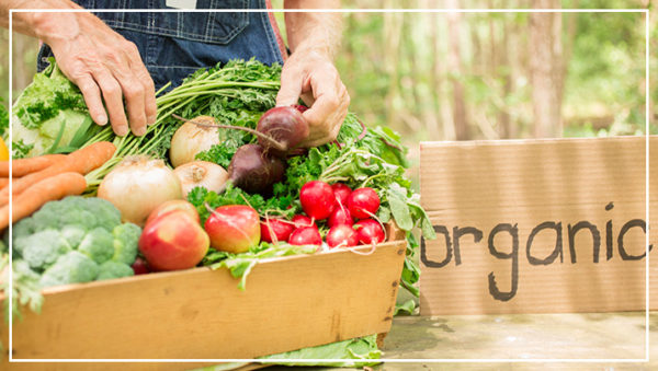Five Tips to Save Money with a Vegetable Garden