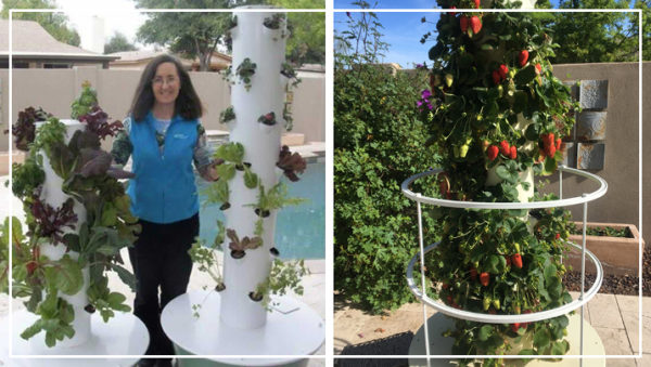 Making Gardening Simple and Doable
