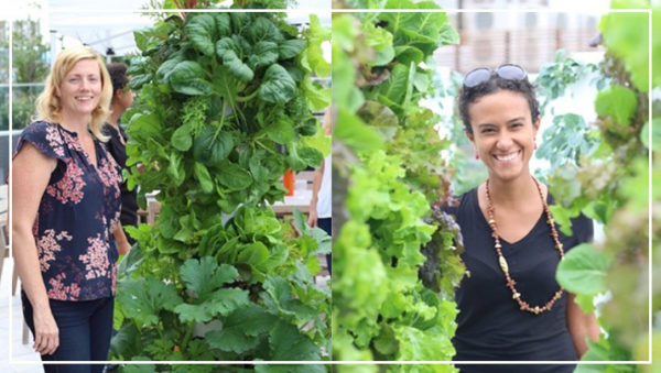 It’s Prime Time to Grow a Garden in Arizona