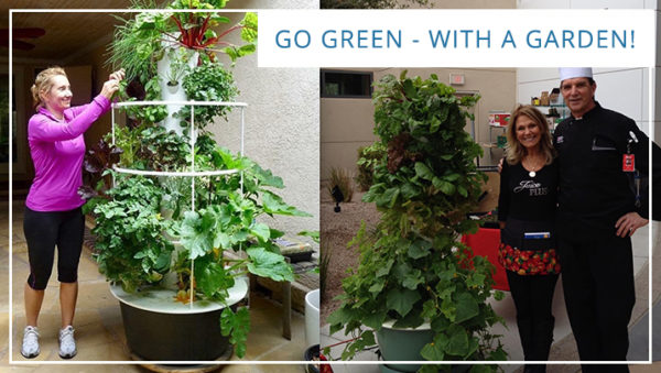 Go Green—With a Garden!