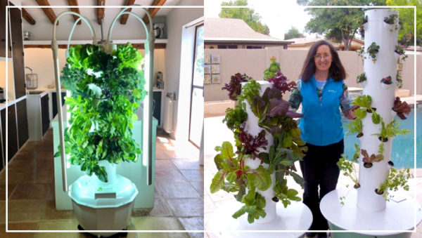 An Easy Indoor/Outdoor Garden System!