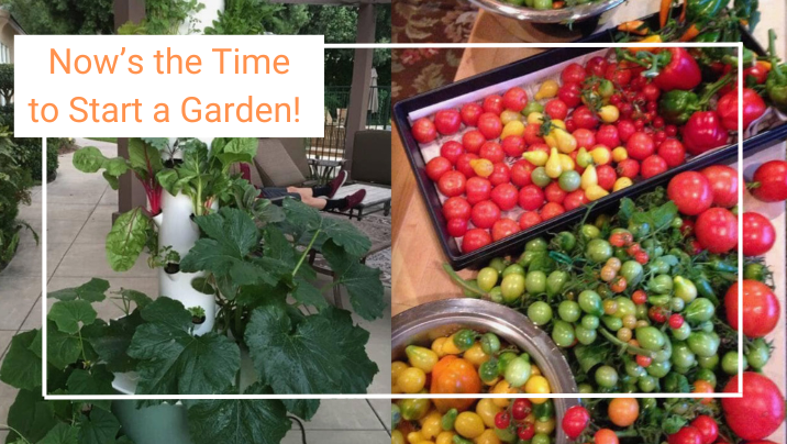 cook remodeling start a garden