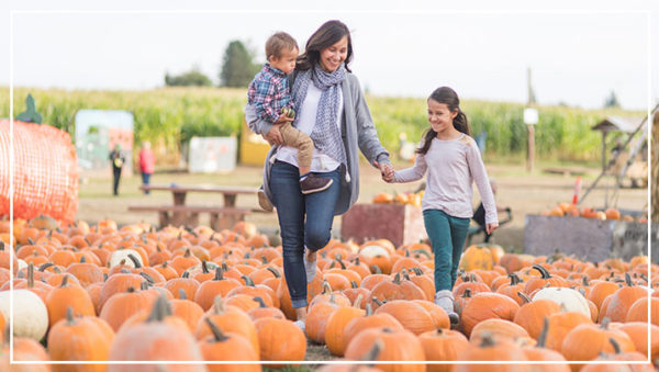 Fall Festivals for Fun!