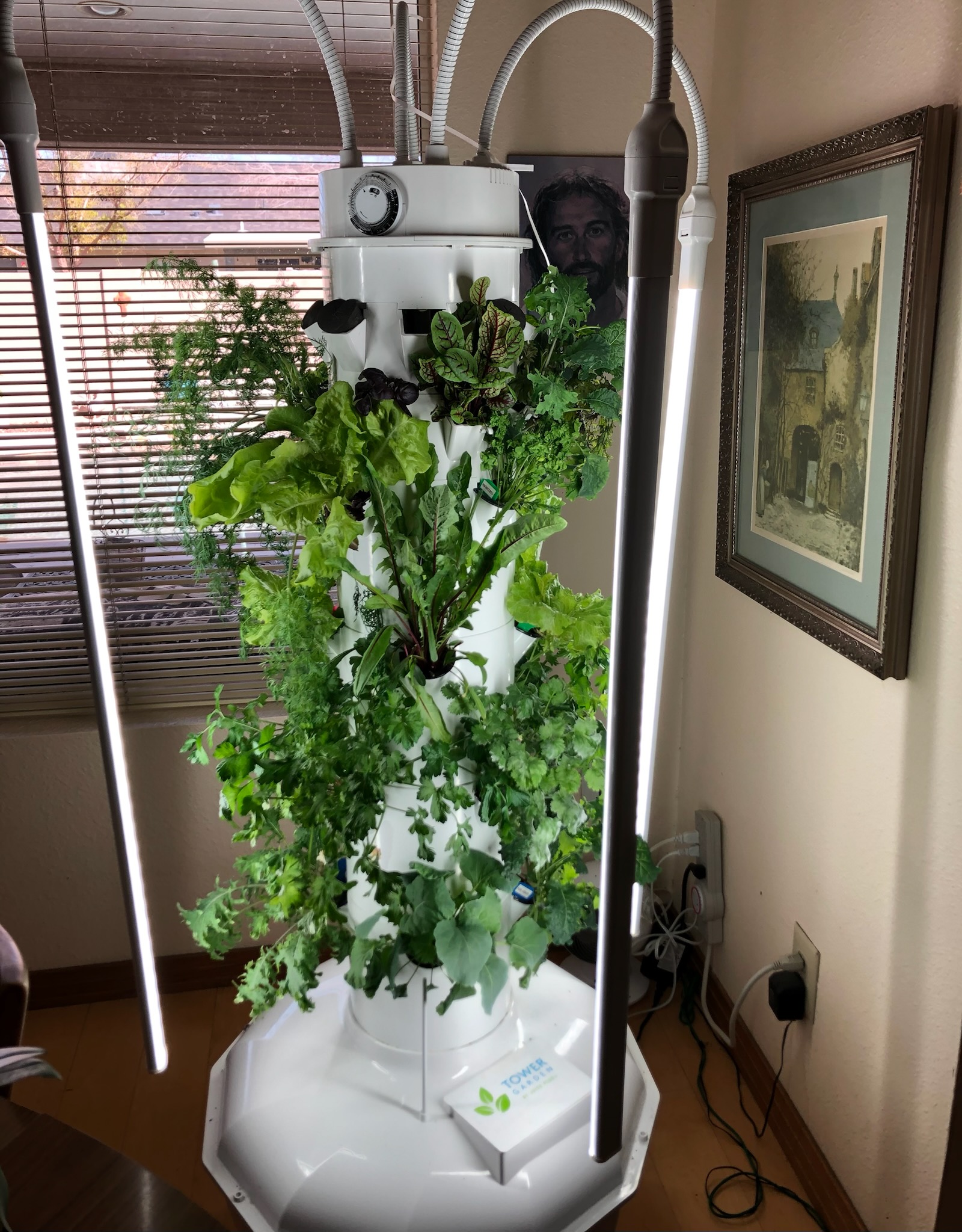 Aeroponic garden